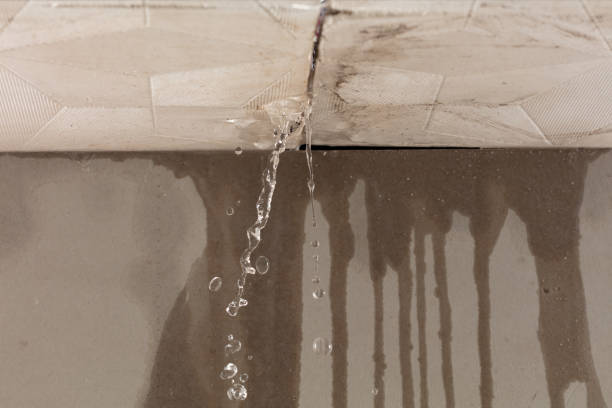 Professional Sewage Cleanup technician working in Bullard, TX